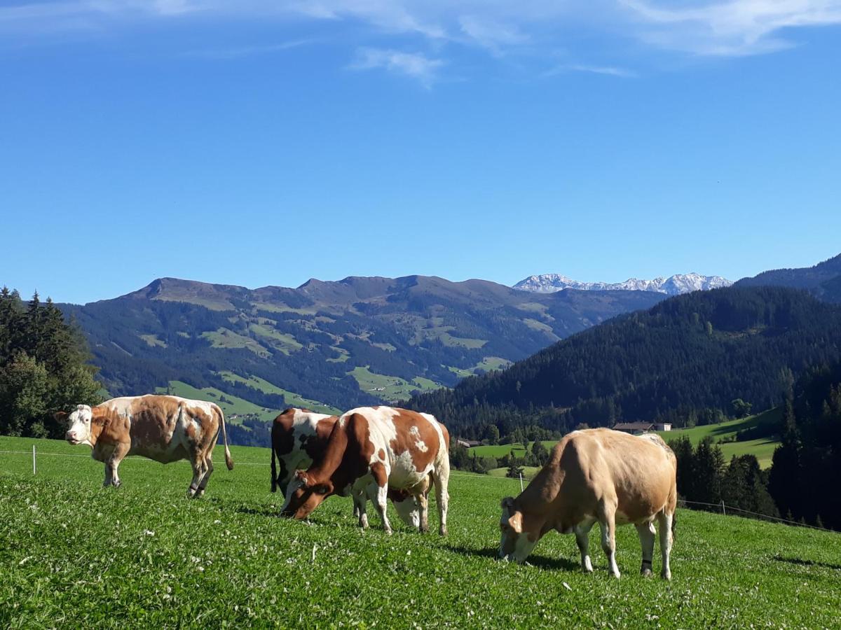 Sonnenappartements Madlstatthof Wildschönau Kültér fotó