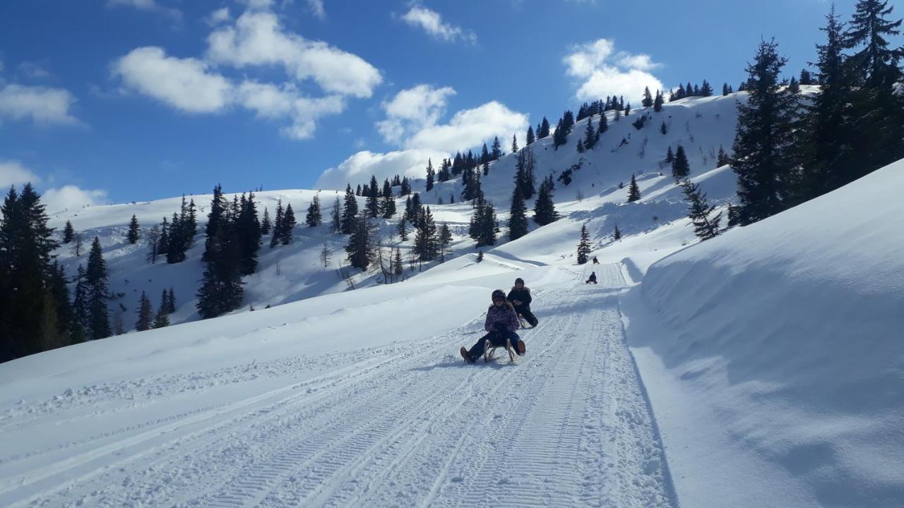 Sonnenappartements Madlstatthof Wildschönau Kültér fotó