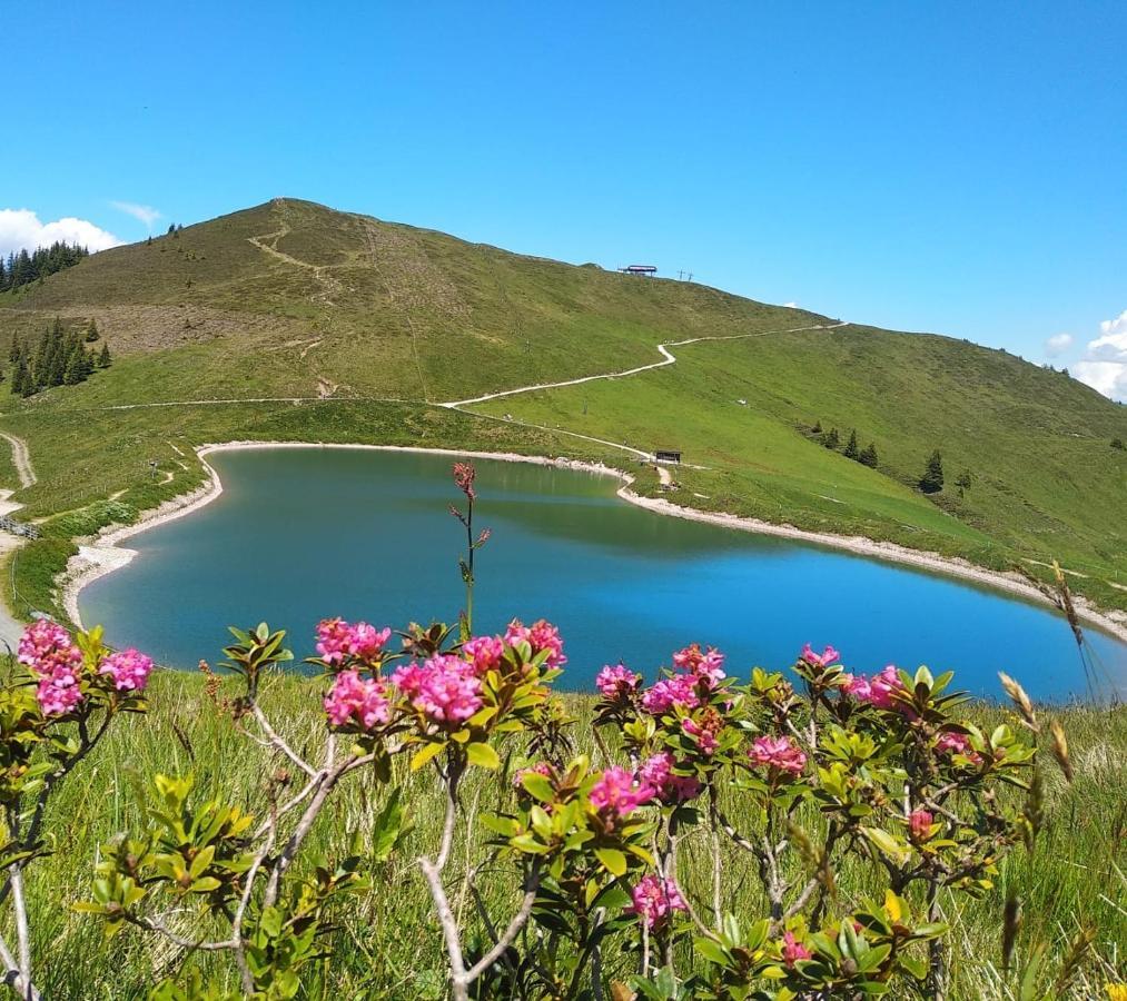 Sonnenappartements Madlstatthof Wildschönau Kültér fotó